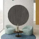 Iron-Surfside-Ash.webp