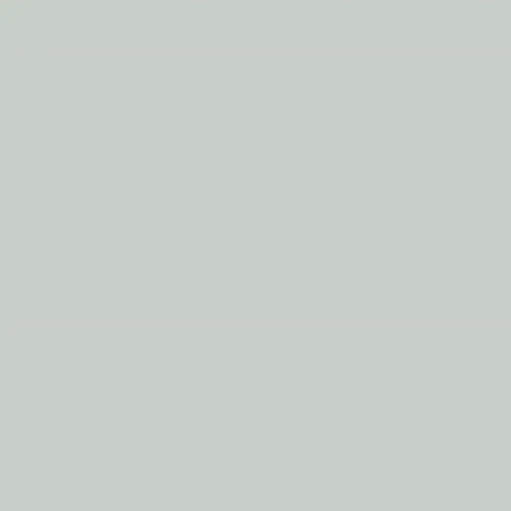 Color Special  SOLID Pastel Green SU 280*207*18MM