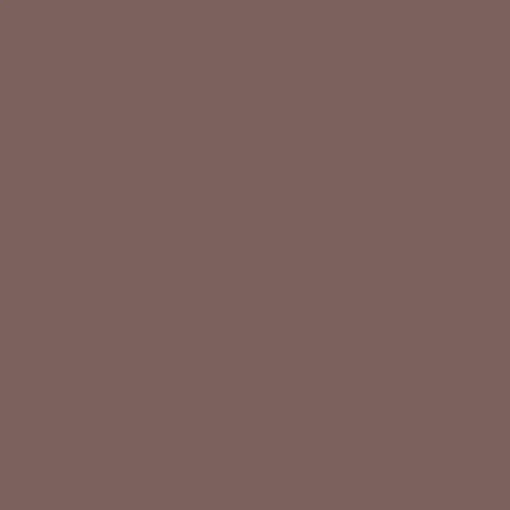 Color Special SOLID Cajun PD 280*207*8MM