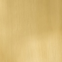 Stainless HG METALILIC GOLD
