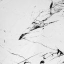 Marble SM WHIT VENATO