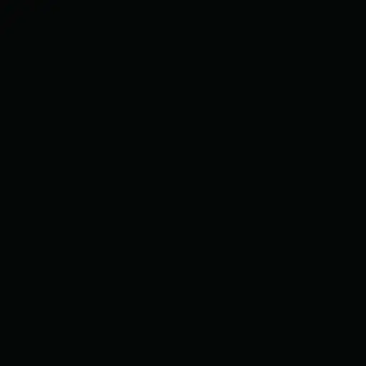 [1006] Black SF 0.5